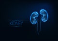 Futuristic glowing low polygonal human kidneys isolated on dark blue background