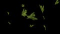 Futuristic green fresh and juicy leaves of a hundred-year-old oak of a large size are carried away by a whirlwind in space. 3D. 4K