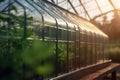 Futuristic Greenhouse in the Glow of the Evening Sun