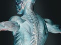 Futuristic human anatomy x-ray