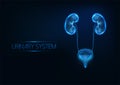 Futuristic human urinary system concept with glowing low polygonal kidneys and bladder on dark blue