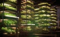 Futuristic indoor farm, showcasing vertical farming techniques, automated systems, and advanced agricultural technologies for