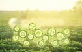 Futuristic innovative technology gears and a farmer processing a potato plantation with a sprayer. Protection from insect pests