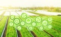 Futuristic innovative technology pictogram on green farm potato fields on an sunny morning day. Agricultural startups,