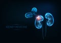 Futuristic kidneys medicine concept with glowing low polygonal human kidneys and capsule pills