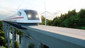 Futuristic, modern Maglev train passing on mono rail. Ecological future concept. Aerial nature view. 3d rendering.