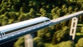 Futuristic, modern train passing on mono rail. Ecological future concept. Aerial nature view. 3d rendering.