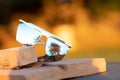 Futuristic oversized sunglasses model with blue lenses shoot outdoor closeup . Selective focus