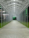 Futuristic pedestrian overpass tunnel with bright lighting, receding into the distance at night. Urban geometry