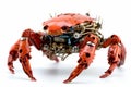 Ai Generative Futuristic robot crab isolated on white background. 3d rendering Royalty Free Stock Photo