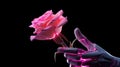 Futuristic robot hand delicately grasping a stunning rose flower against a mesmerizing neon backdrop