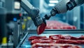 Futuristic robot sli9 cing raw meat under supervision in modern food processing facility with industrial background and Royalty Free Stock Photo
