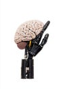 A futuristic robotic hand holding a realistic brain symbolizing the fusion of technology and human intelligence