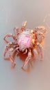 Futuristic robotic spider with glowing features and intricate design