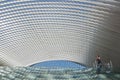 Futuristic roof of the rail station Guillemins in LiÃÂ¨ge