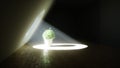 Futuristic room with flower pot and butterflyes around. Volumetric light. Future concept. 3D Rendering,