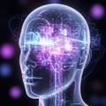Futuristic Transparent Human Head with Glowing AI Neural Circuits Royalty Free Stock Photo