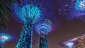 Futuristic view of amazing illumination at Garden by the Bay night timelapse hyperlapse in Singapore.