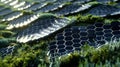 A futuristiclooking solar farm incorporating innovative design elements Royalty Free Stock Photo