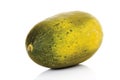 Futuro melon, close-up Royalty Free Stock Photo