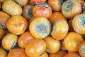 Fuyu Persimmons Royalty Free Stock Photo