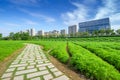 Fuzhou Cityscape, China