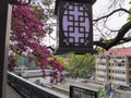 Fuzhou - A lantern hanging above the rooftop of a Chinese pavilion with the view on a small square and a blossoming tree Royalty Free Stock Photo