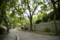 A hazy background of a heavily vegetated park