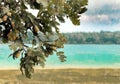 Fuzzy background with a summery lake landscape and an autumnal tree with acorns in the sharp foreground