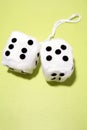 Fuzzy dice