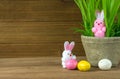 Fuzzy Easter bunnies with plant