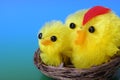 Fuzzy Easter Chicks in Nest