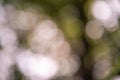 fuzzy facula background Royalty Free Stock Photo