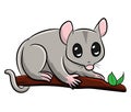 Cute Tasmanian Fuzzy possum Gray Cartoon Character Royalty Free Stock Photo