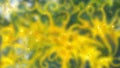 Fuzzy yellow and green biologic background with algae and particles