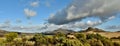 fynbos and Mountains