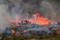 Fynbos Wildfire