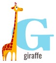 G for giraffe card. English vocabulary alphabet letter