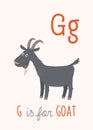 G is for Goat. Vector clipart eps 10 hand drawn illustration on white.