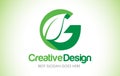 G Green Leaf Letter Design Logo. Eco Bio Leaf Letter Icon Illustration Logo.
