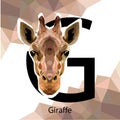 G letter animals set. English alphabet. Vector illustration. Colorful polygonal style. Geometric Giraffe Royalty Free Stock Photo