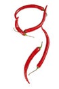 G letter made from chili
