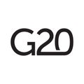 G20 logo design vector