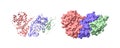 G2-mitotic-specific cyclin B1, cyclin-dependent kinase 1 and cyclin-dependent kinase regulatory subunit 2 with Flavopiridol Royalty Free Stock Photo