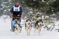G sledding with husky on `International dog sled competition