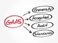 GAAS - Generally Accepted Audit Standards