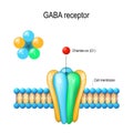 GABA receptor structure Royalty Free Stock Photo