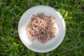 Gaba rice in a dish made of recycled material The background is green lawn