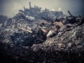 Garbage dump at Maldives Royalty Free Stock Photo