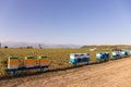 Gabala. Azerbaijan. 06.19.2021. Bee hives in the field